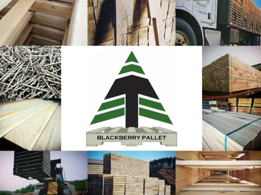 Reliability in Action: How Blackberry Pallet Stays Ready Reliability in Action: How Blackberry Pallet Stays Ready