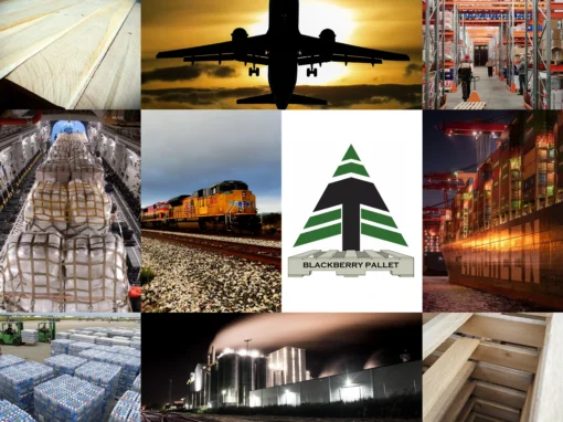Are You Ready? Manufacturing Supply Chain Interdependence Are You Ready? Manufacturing Supply Chain Interdependence