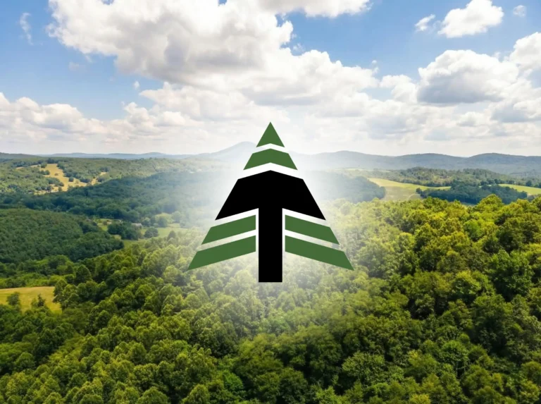 Turman Group tree mark over a broad green forest and mountain landscape under a cloudy sky.