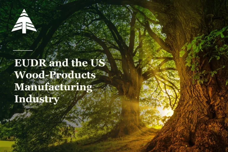 Sunlit oak trees with the Turman Group logo and the title “EUDR and the US Wood-Products Manufacturing Industry.”